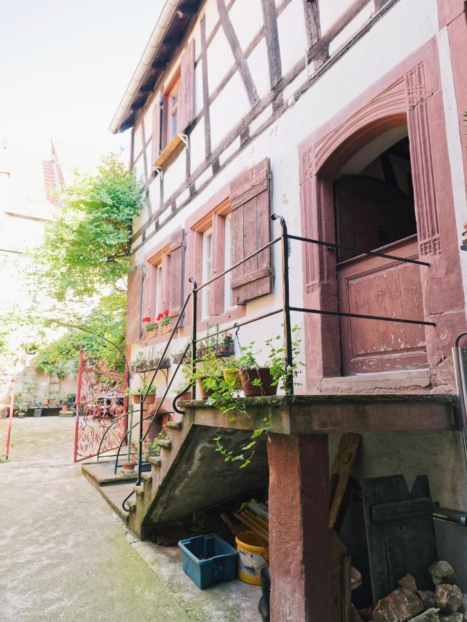 Le Haut Relais Des Seigneurs - 5 Mn Royal Palace De Kirrwiller Bouxwiller  Exterior photo